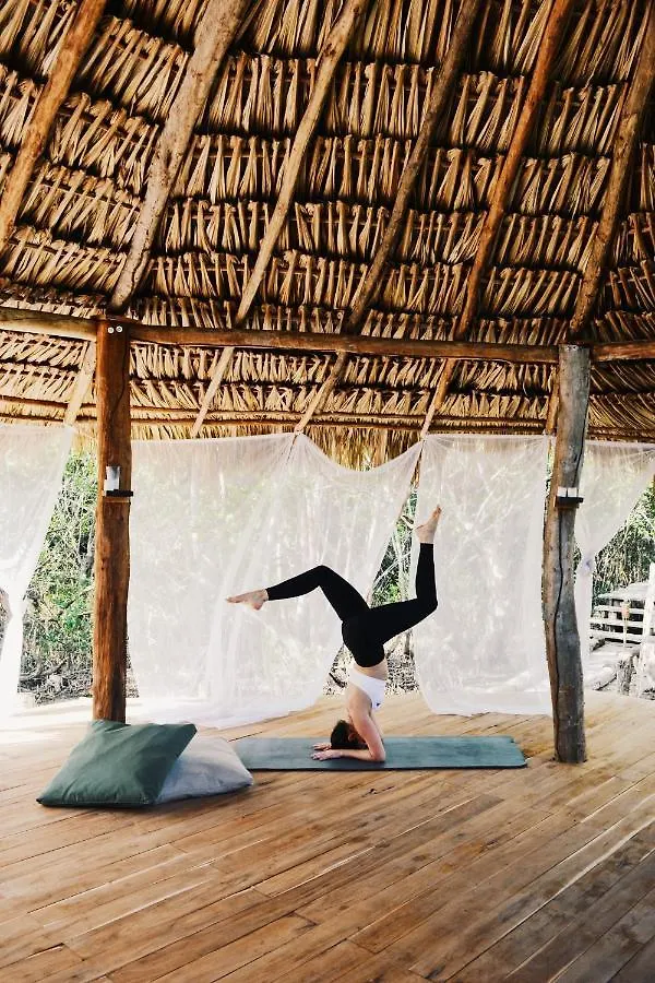 فندق Nativus Glamping & Cenote تولوم
