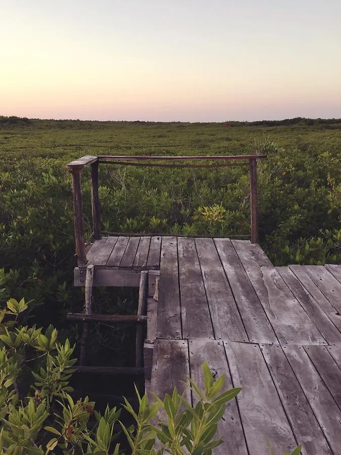 فندق Nativus Glamping & Cenote تولوم المكسيك